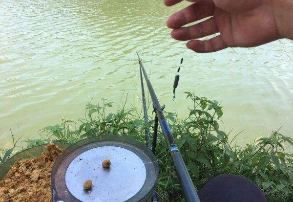 野钓调漂的正确方法和技巧