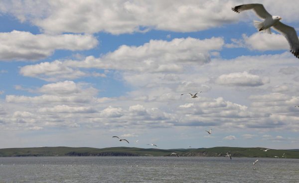 我国四大淡水湖面积从大到小排名