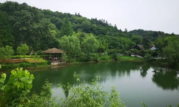 湖州有什么好玩的地方及旅游景点