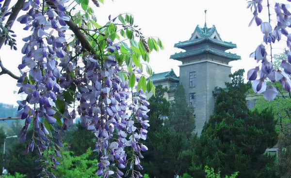 南农是什么档次的211学校