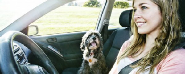 验车需要什么手续