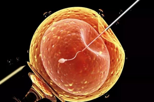 地球上白犀牛还有几只