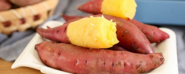 地瓜是凉性还是热性的