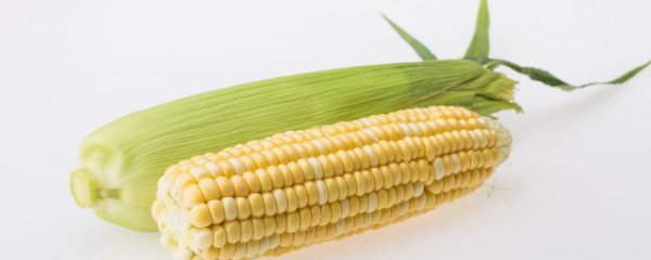 甜玉米能生吃吗