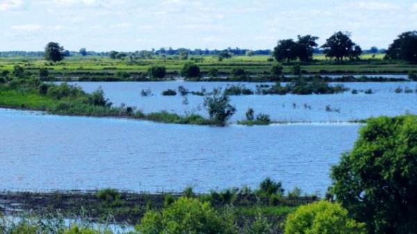 三江平原在哪个地区