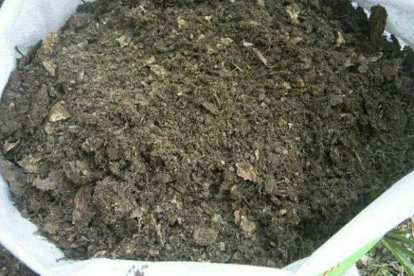 透气透水的养花土怎么配制