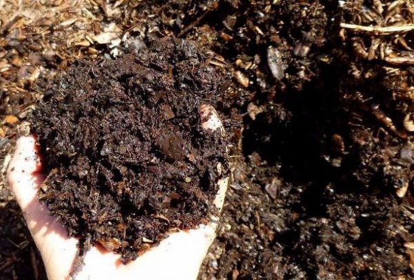 透气透水的养花土怎么配制