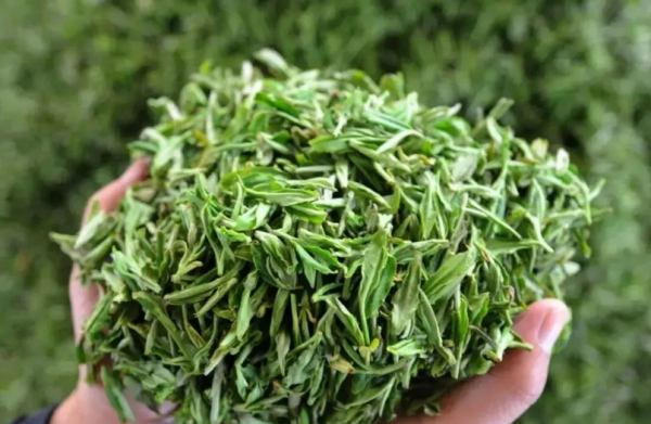 绿茶有哪些品种名称