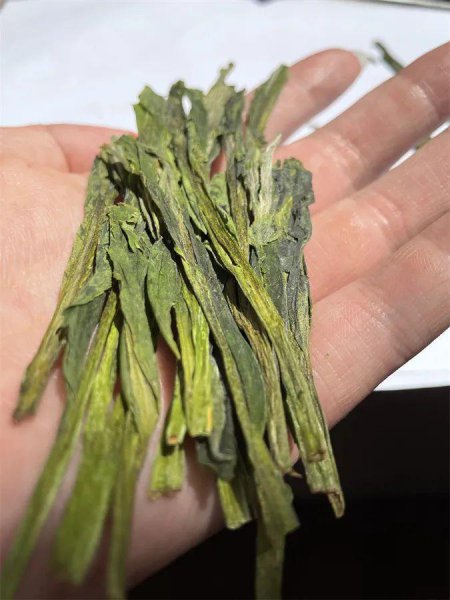 绿茶有哪些品种名称