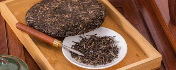 野生茶怎么辨认好坏