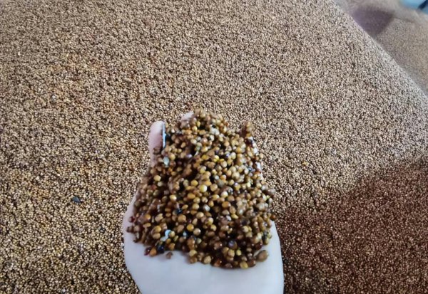 洋河酒海之蓝天之蓝梦之蓝哪个好喝档次高