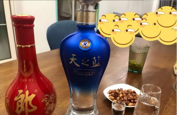 洋河酒海之蓝天之蓝梦之蓝哪个好喝档次高