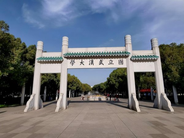 武汉大学是211还是985