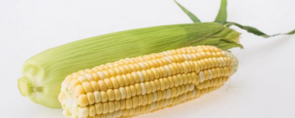 怎样识别玉米是新鲜