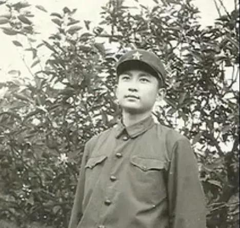 京圈叶京的家世怎么样