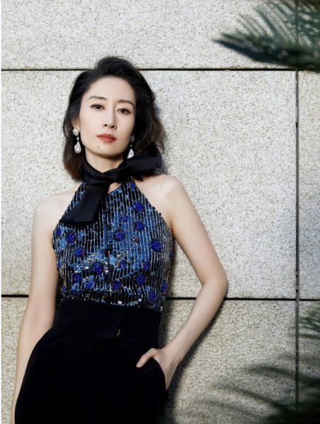 静妃扮演者刘敏涛个人资料和照片