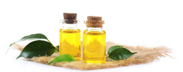 茶油涂脸正确方法是什么