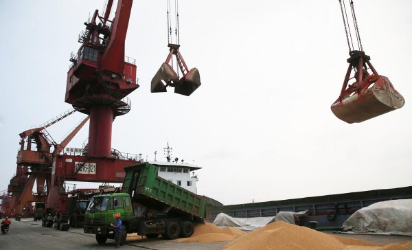 福临门和金龙鱼哪个好