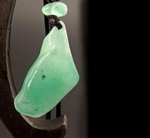 独龙玉是什么玉种