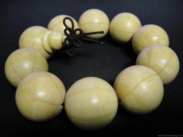 六道木是什么树