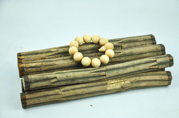 六道木是什么树