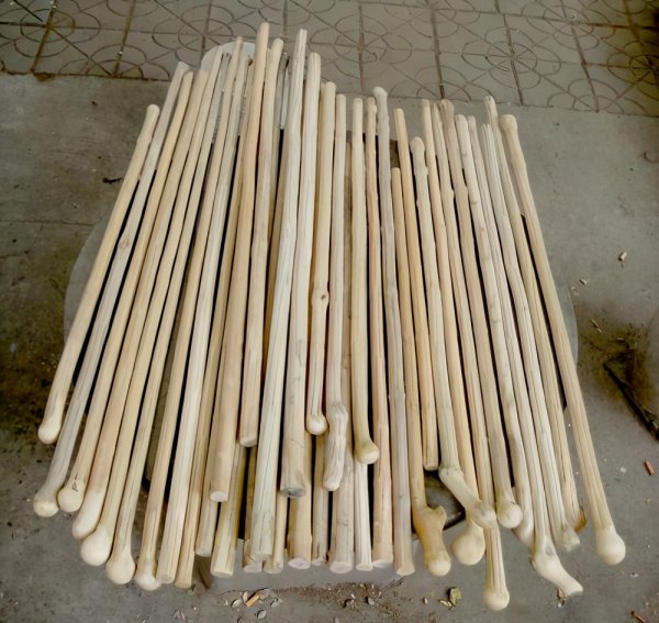 六道木是什么树