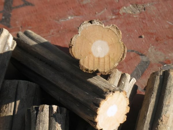 六道木是什么树