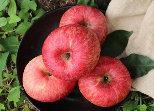 苹果可以带皮吃吗