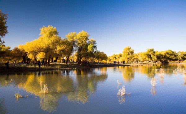 阿拉善在哪个地方