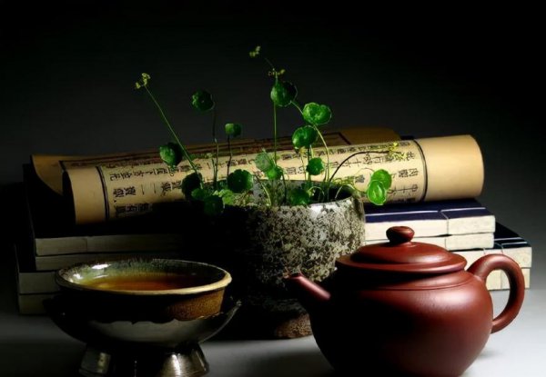 被骂没教养怎么反击对方