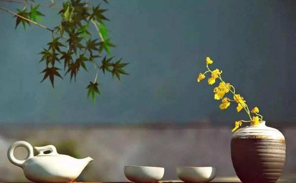 被骂没教养怎么反击对方