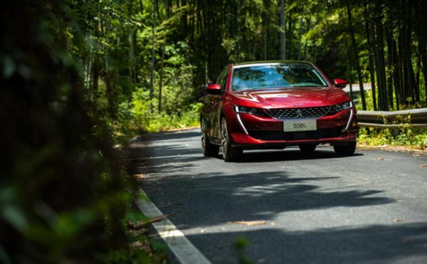 为什么懂车的人开标致