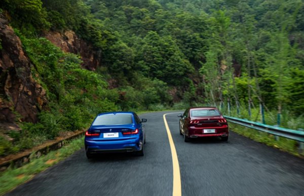 为什么懂车的人开标致