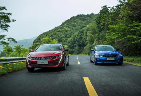 为什么懂车的人开标致