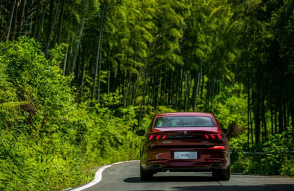 为什么懂车的人开标致