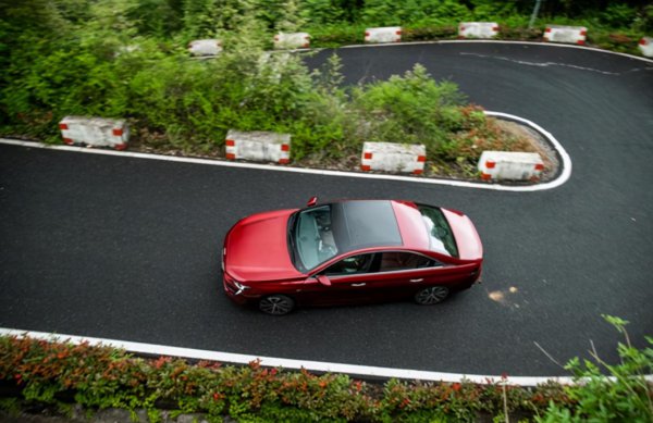 为什么懂车的人开标致