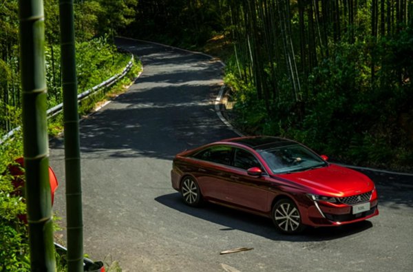 为什么懂车的人开标致