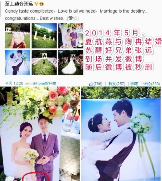 苏醒李炜打架事件