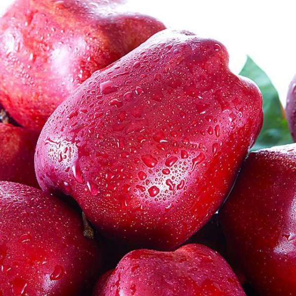 智慧果是什么水果