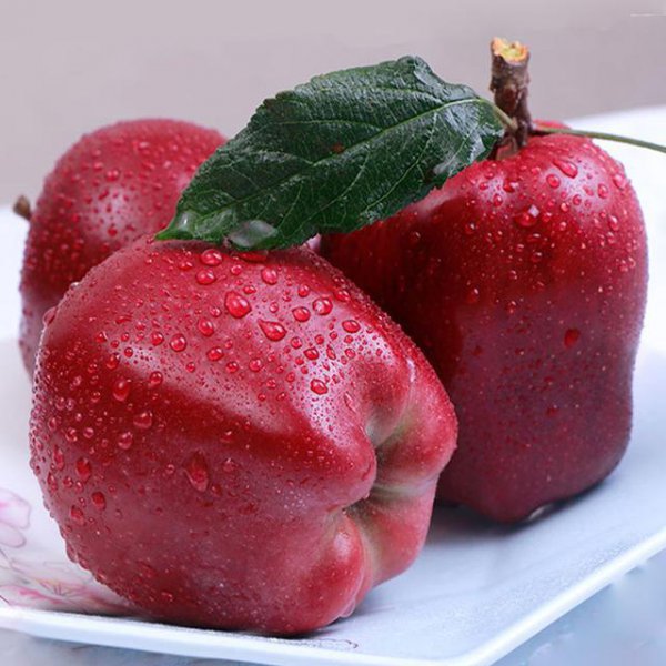 智慧果是什么水果