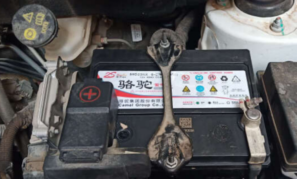 骆驼蓄电池质量怎么样