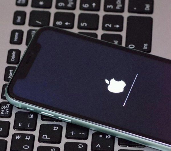 苹果11死机屏幕无反应什么原因