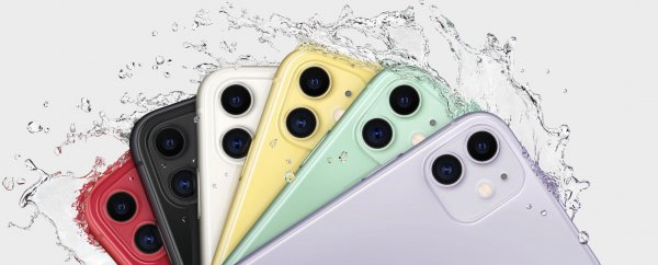 苹果11死机屏幕无反应什么原因