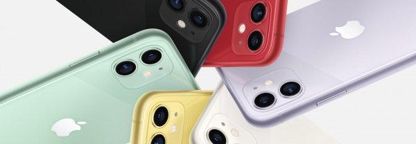 苹果11死机屏幕无反应什么原因