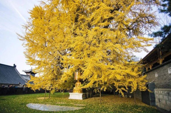 襄阳有什么好玩的景点介绍