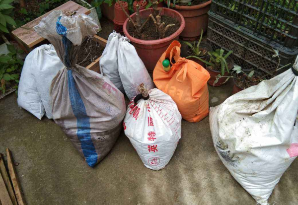 碱性土壤如何改良成酸性土壤