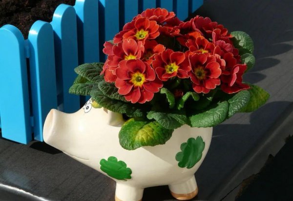 婚外情一般最多几年