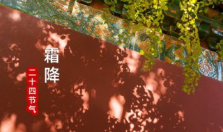 霜降的问候语 霜降的问候语盘点