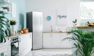 过年厨房摆什么最好呢风水 个 春节在厨房摆放这几样东西