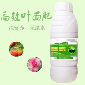 叶面肥料一般在什么时候使用 叶面肥在什么时间喷效果好